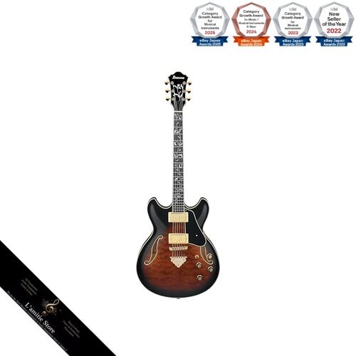 Chitarra semi acustica ibanez - chitarra, semi-acustica