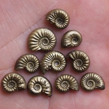 Lotto 10 pezzi 9-12 mm