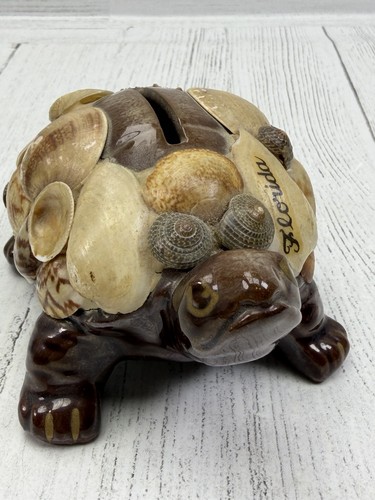 Vintage florida seashell - florida,