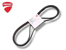 73710101B KIT CINGHIE