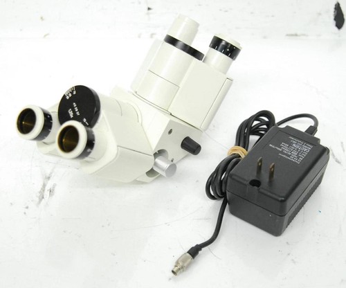 Zeiss 452937 testa microscopio - zeiss,