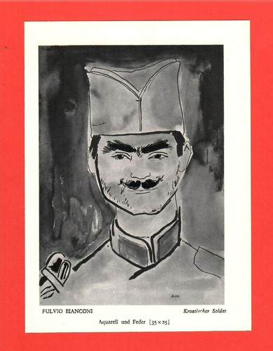 Soldatino croato fulvio - croato, *