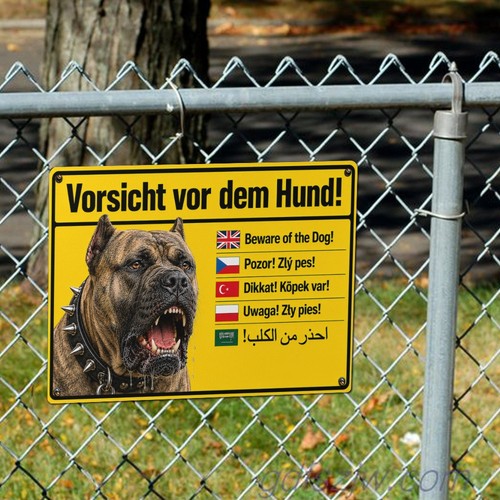 Attenzione presa canario - attenzione,
