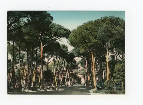 Cartolina fregene viale - -,