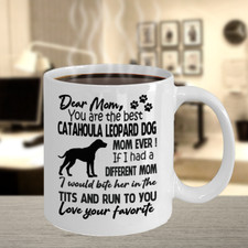 Cane leopardo Catahoula