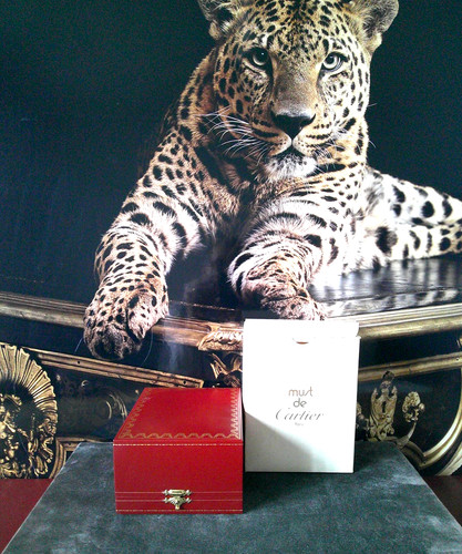 Cartier scatola originale - cartier,