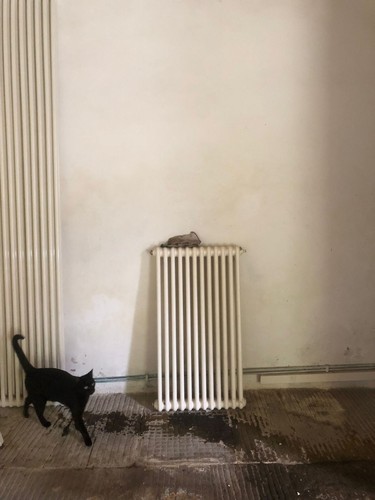 Radiatore tesi elementi - 3, 12