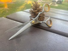 Forbici da Parrucchiere