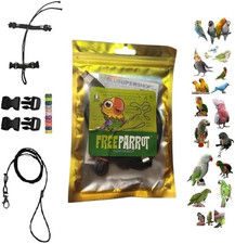 PETTORINA PAPPAGALLI