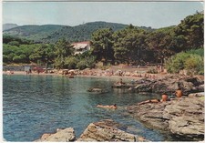 CAVO - LIVORNO - ISOLA D'ELBA - CALA DELLE ALGHE - VIAGG. -34766-