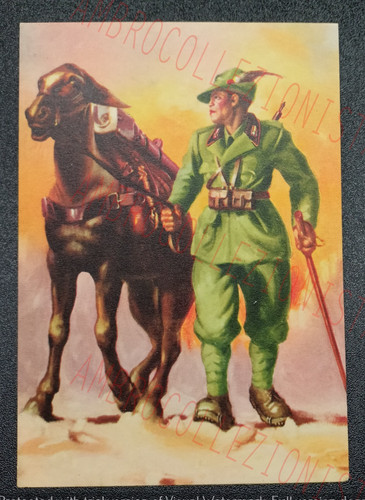 Cartolina reggimento - cartolina,