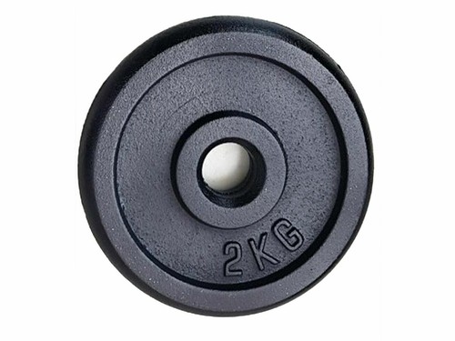 2kg dischi ghisa per - 4x,
