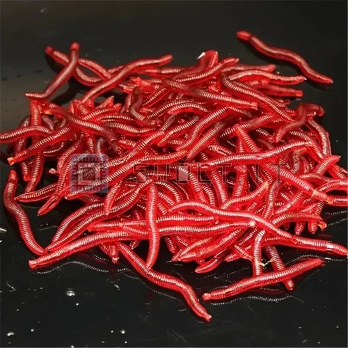 100pz vermi rossi morbidi esca - 100pz,