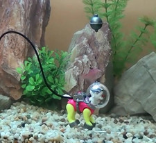 Action Air DIVING SEA DOG ORN