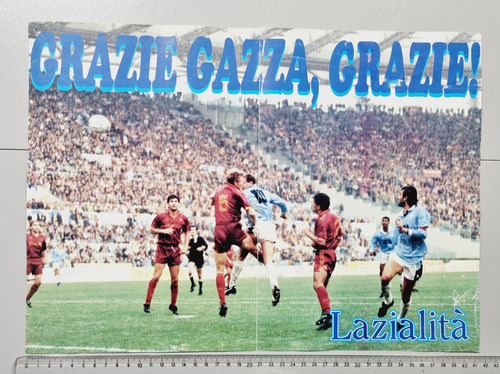 Poster grazie gazza - grazie,