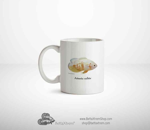 Cap mug cichlid astronotus - mug,