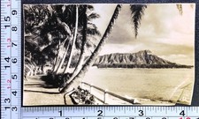 Testa di diamante Honolulu TH