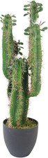 -7281 - Cactus Artificiale Con