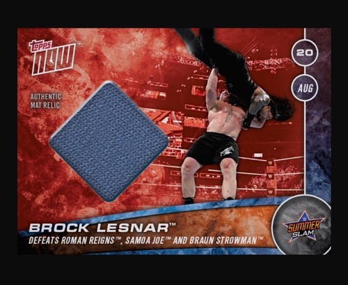 2017 wwe slam brock - 2017,