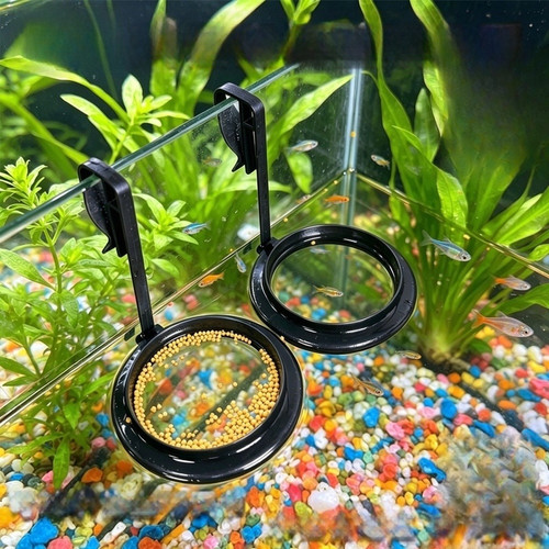 Anello mangiatoia pesci design - anello,