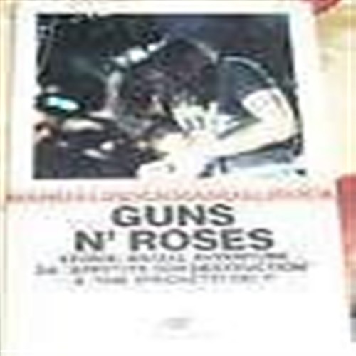 Guns roses storie 2002 - n',