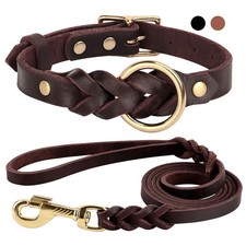 Set collare e guinzaglio per