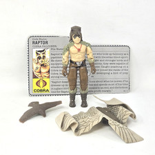 Scheda file Raptor V1 quasi