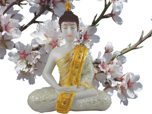 Statua buddha ornamento - statua,