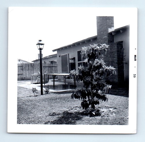 Vecchia foto quadrata vintage