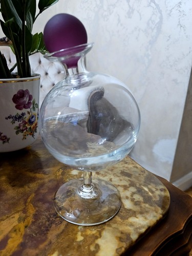 Mglass globe glass decanter - globe,