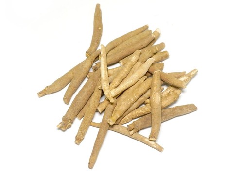 Radice ashwagandha - radice, di