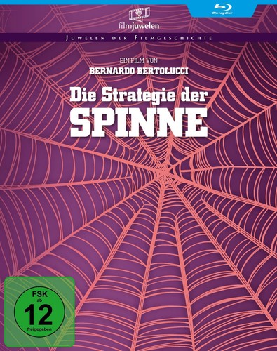 Die strategie der spinne - spinne,