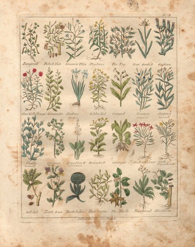 1810 print culpepers - 1810,