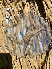 MILLER o LUCAS solo vetro  per