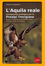 L'aquila reale avanguardia