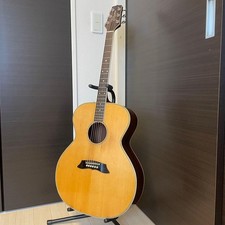 Archtop elettrico acustico