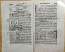 Grecia Cicladi Delfi 2 Foglie