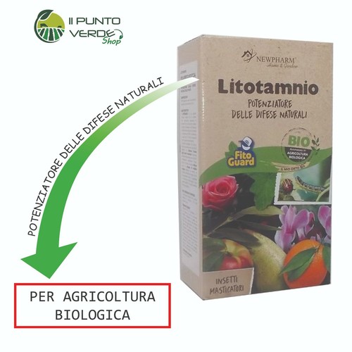 Litotamnio barriera naturale - litotamnio,