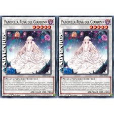 FANCIULLA ROSA DEL GIARDINO 2x