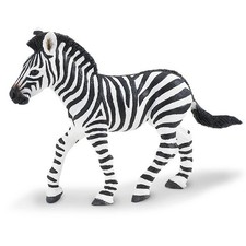 Zebra foal wildlife - zebra,