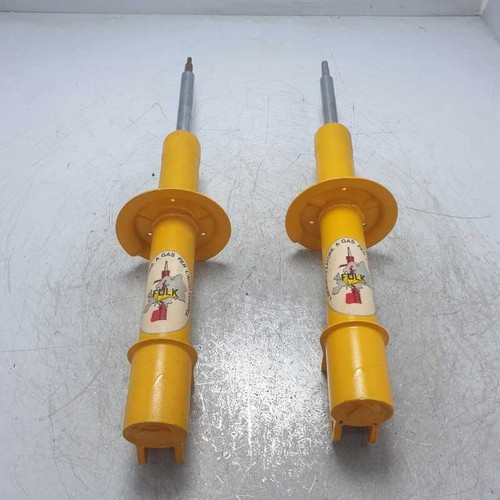 7636024 coppia ammortizzatori