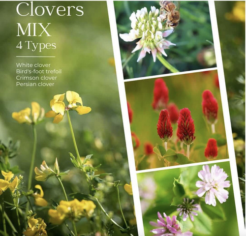 Trifoglio mix cover - trifoglio,