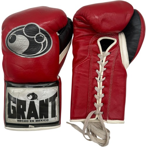 Guantoni boxe professionali - da,