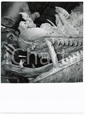 1955 CARNEVALE VIAREGGIO Carrista modella dente di drago Carro allegorico *Foto