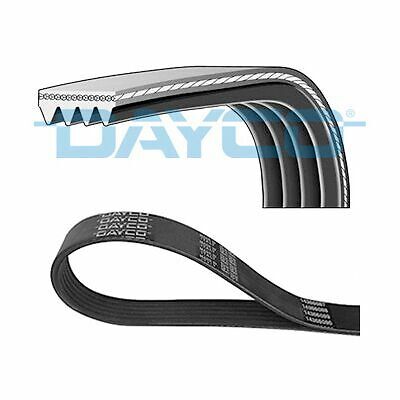 Dayco 4pk780 cinghia poly - dayco,
