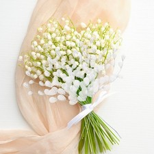  50 PZ Decorazioni per Feste
