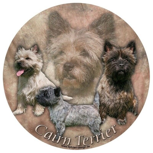 Adesivo auto cairn terrier - adesivo,
