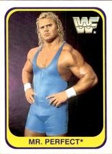 card wwf wrestling merlin 1991