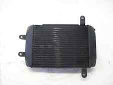 RADIATORE ACQUA COLORE NERO