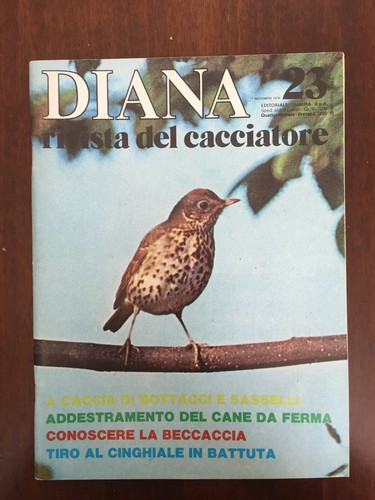 Diana rivista del - , cacciatore